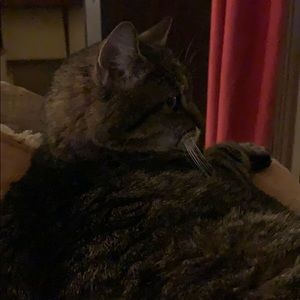 Meet your Posher, Casey